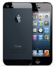 Мобильный телефон Apple iPhone 5 16Gb Black
