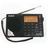 Радиоприёмник Tecsun PL-310ET