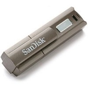 Карта памяти Sandisk Cruzer Professional 4Gb